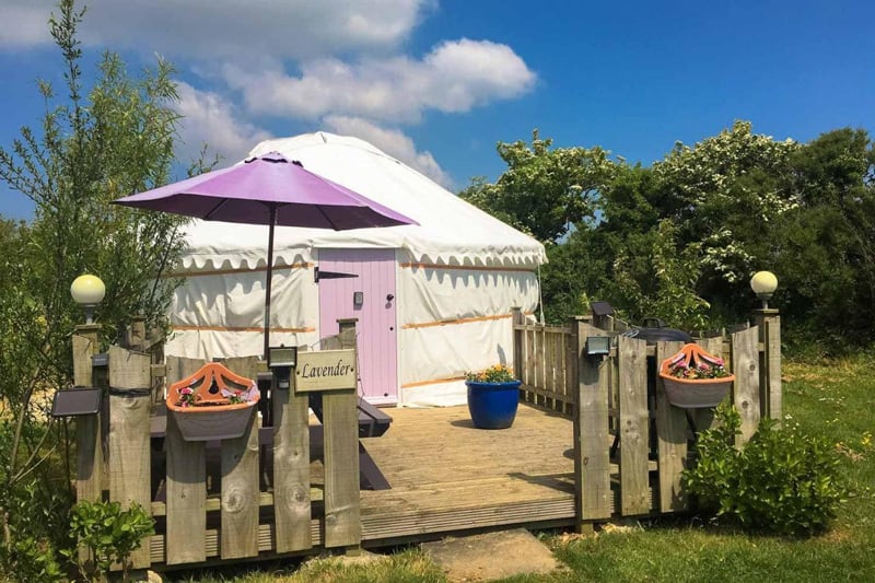 Lavender Yurt in Cornwall