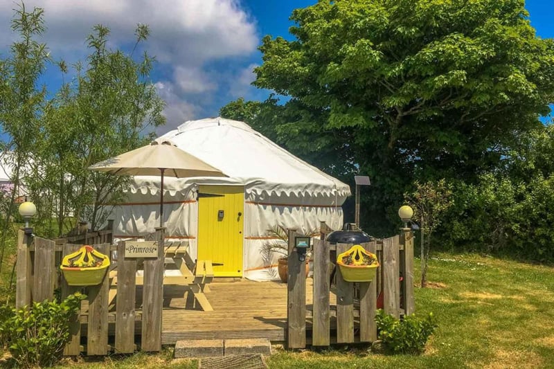 Primrose Yurt in Cornwall