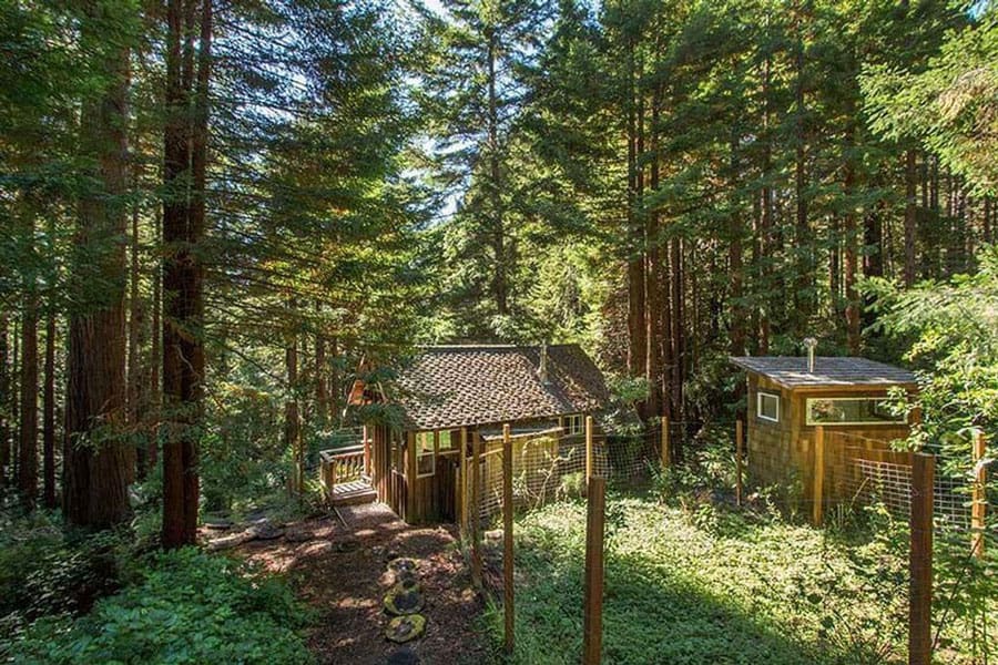 2 Rustic Cabins and Treehouse Glamping