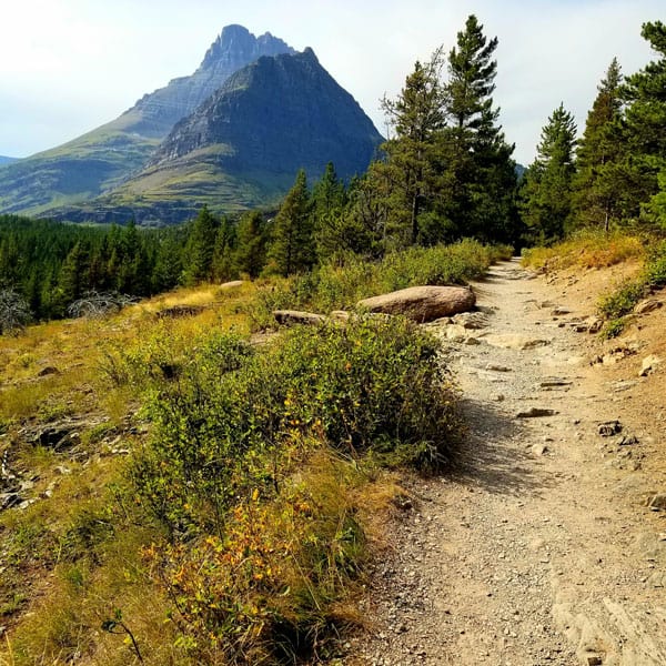Glacier National Park Hike with view of the trail and trees and a mountain in the distance, sunny day