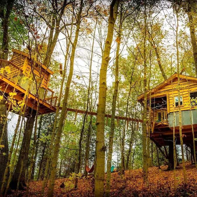 Aliyah Kentucky Treehouse