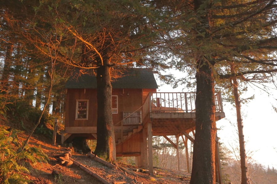 Oregon Treehouse Rentals at The Bluebird House