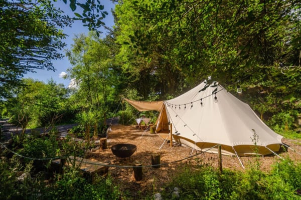 The Botanical Glamping Bell Tent for Glamping in Cork with a view of the tent situated among the trees with a firepit