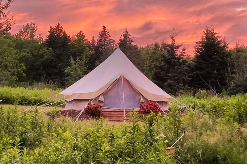 The Burrow Nova Scotia Glamping Tent