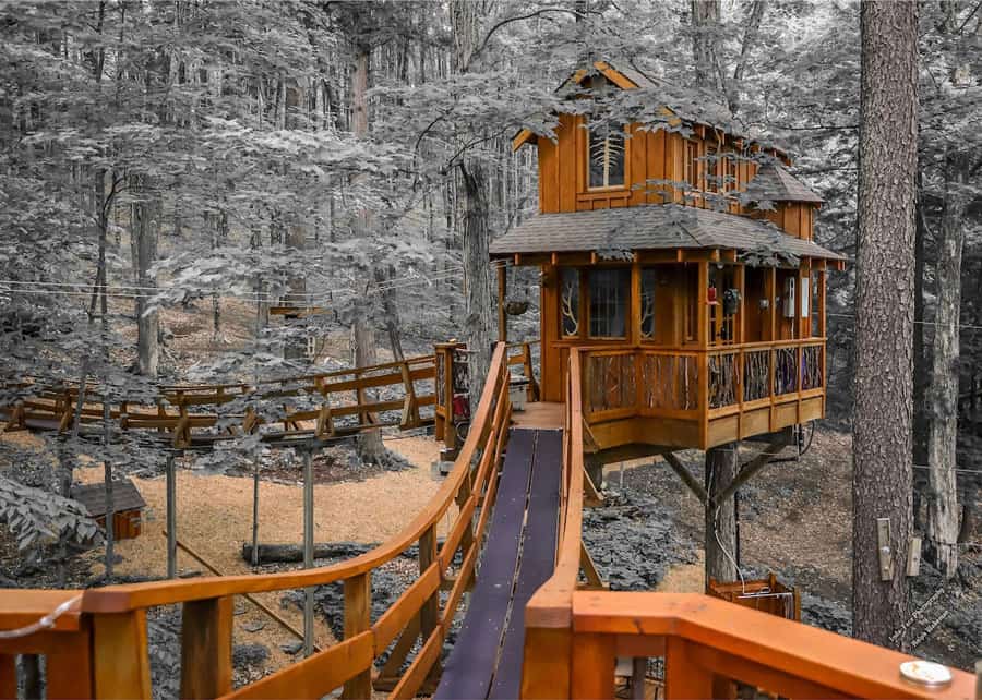 Chez Tree Rest Treehouse in Upstate New York