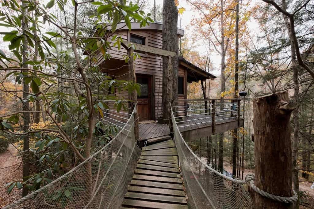 Red River Gorge Treehouses cover image for Red River Gorge Treehouse Rentals