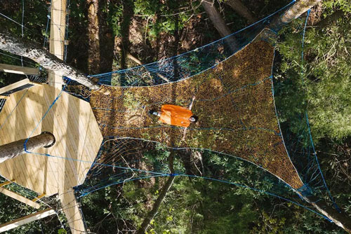Dome Town Red River Gorge Treehouses hammock