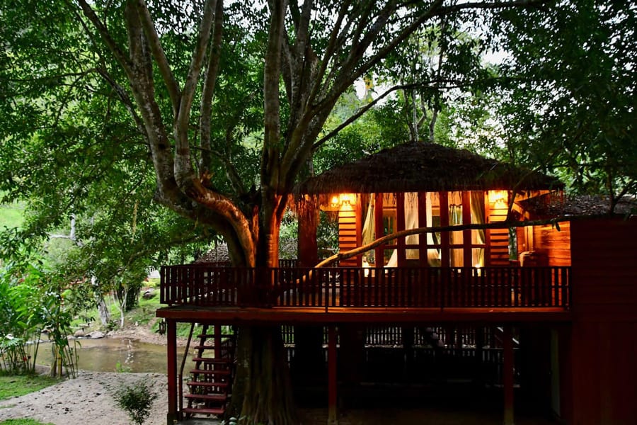 DreamCaught Chiang Mai Treehouses Thailand