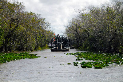 Everglades Airboat