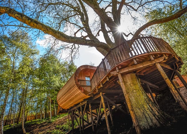 Fish Hotel view of Glamping Cotswolds Treehouse with the tree in the middle and sun peaking through