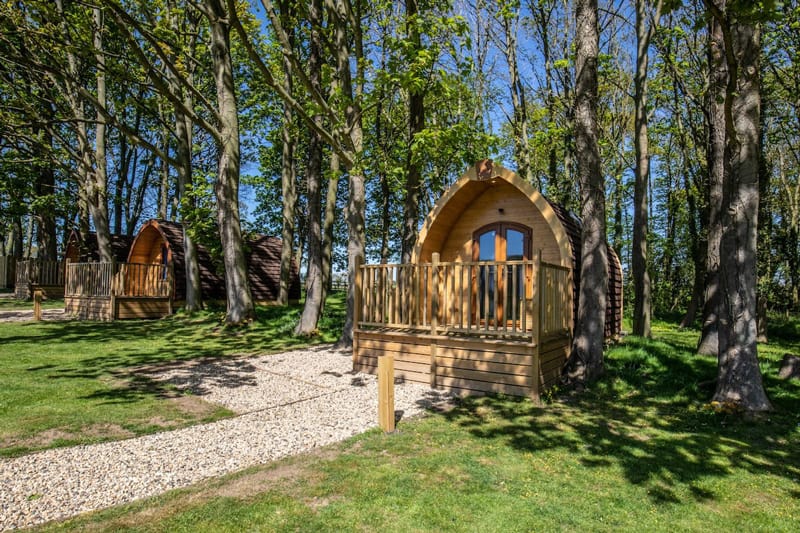North Yorkshire Glamping Pods for Families
