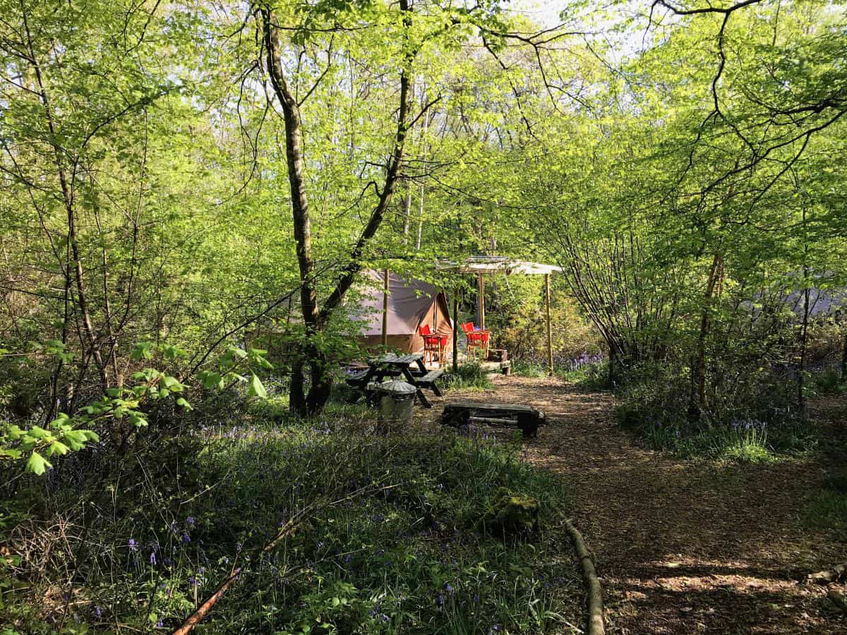 Glamping at Wild Boar Wood campsite 