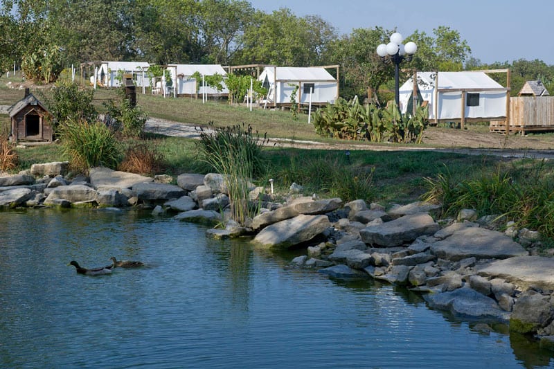 Slattery Vintage Estate Glamping Tents Nebraska view of the tents in the background and pond in the foreground
