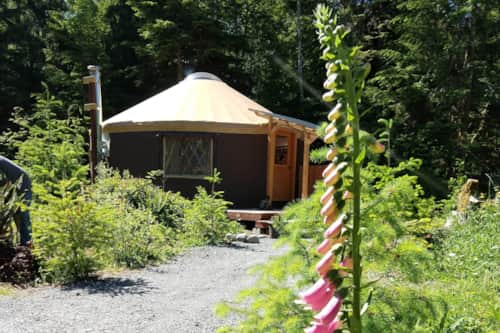 Happy Tails Mt. Rainier Cabins and Yurts 1