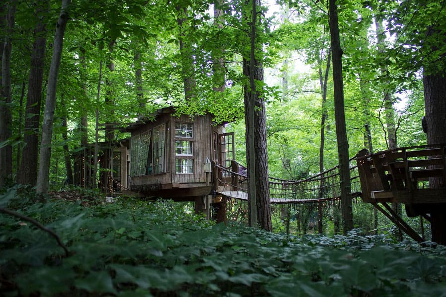 Secluded Treehouse in Georgia