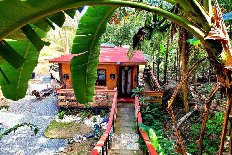 Rincon Jungle Cabin Glamping Puerto Rico