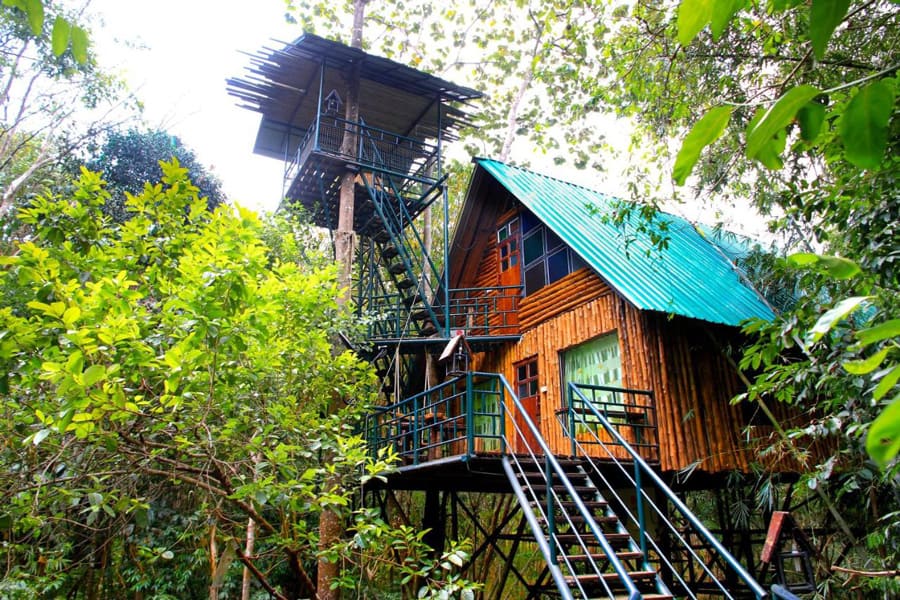 Khao Sok Thailand Tree House Resort