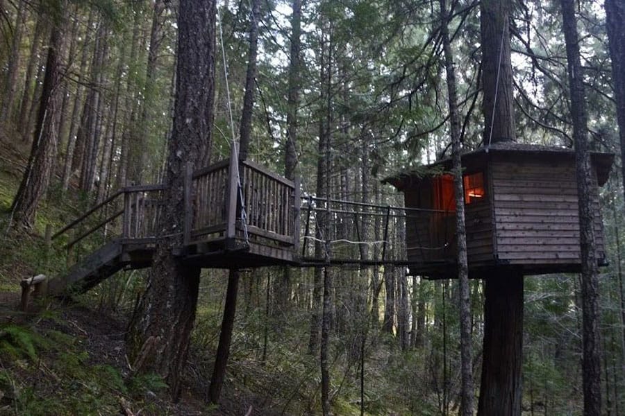 The Lilly Pad Treehouse Rental in Oregon