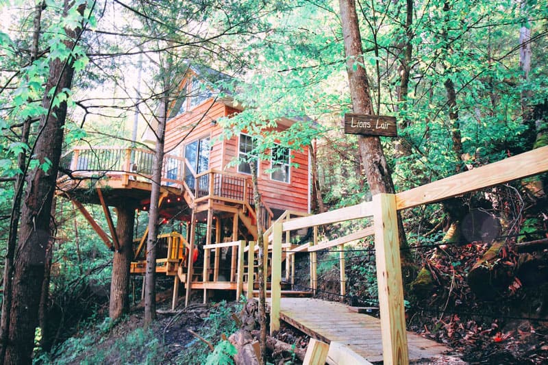 The Lions Lair Red River Gorge Treehouses Rental