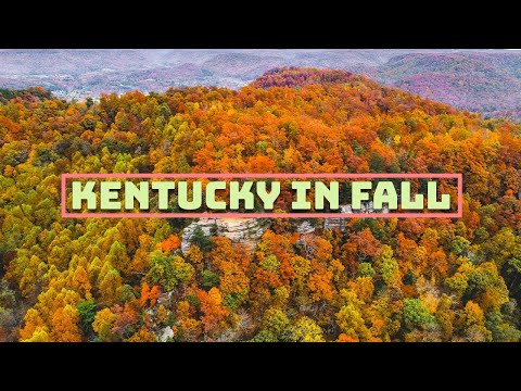 Kentucky in Fall Drone Video