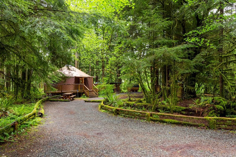 Magical Mountain Retreat Yurt and Sauna