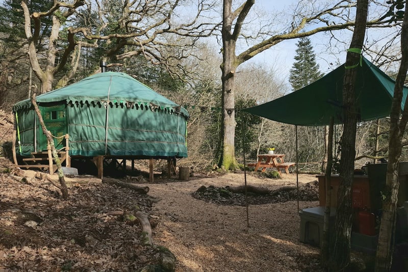 Magical Woodland Yurt in North Wales