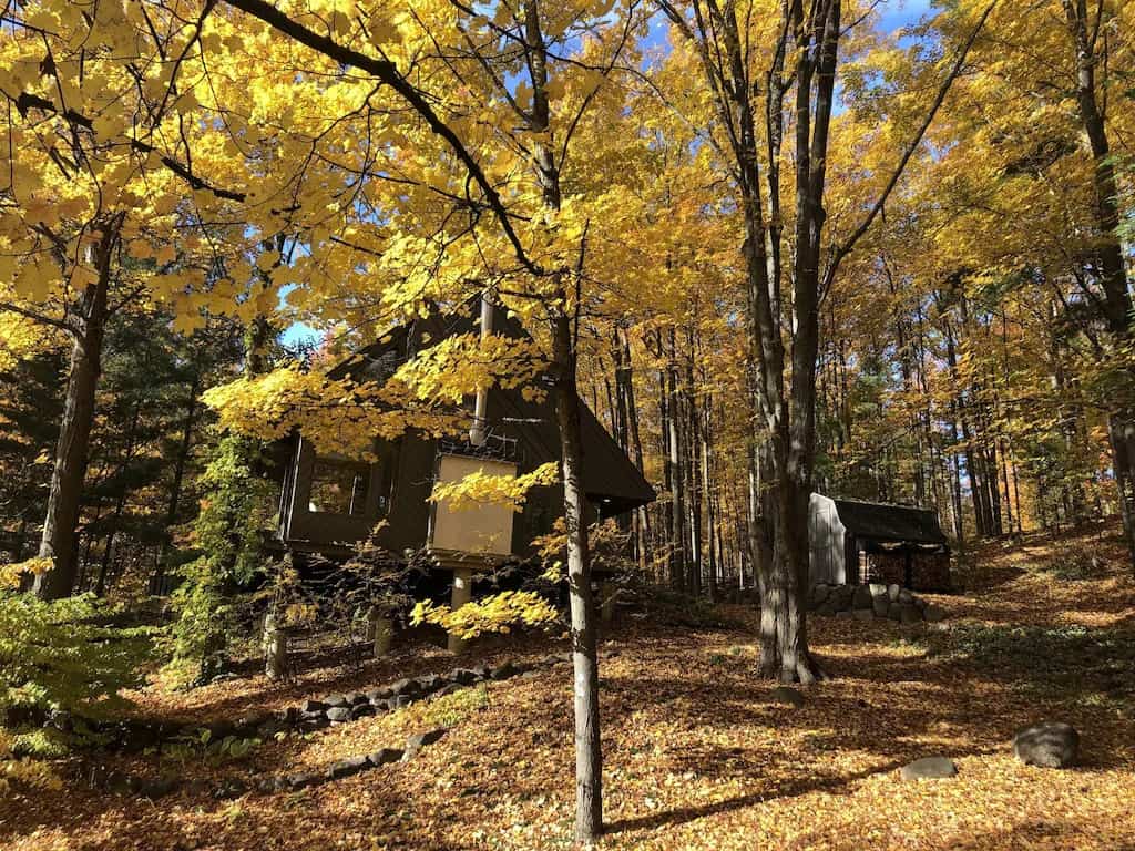michigan treehouse cozy cottage