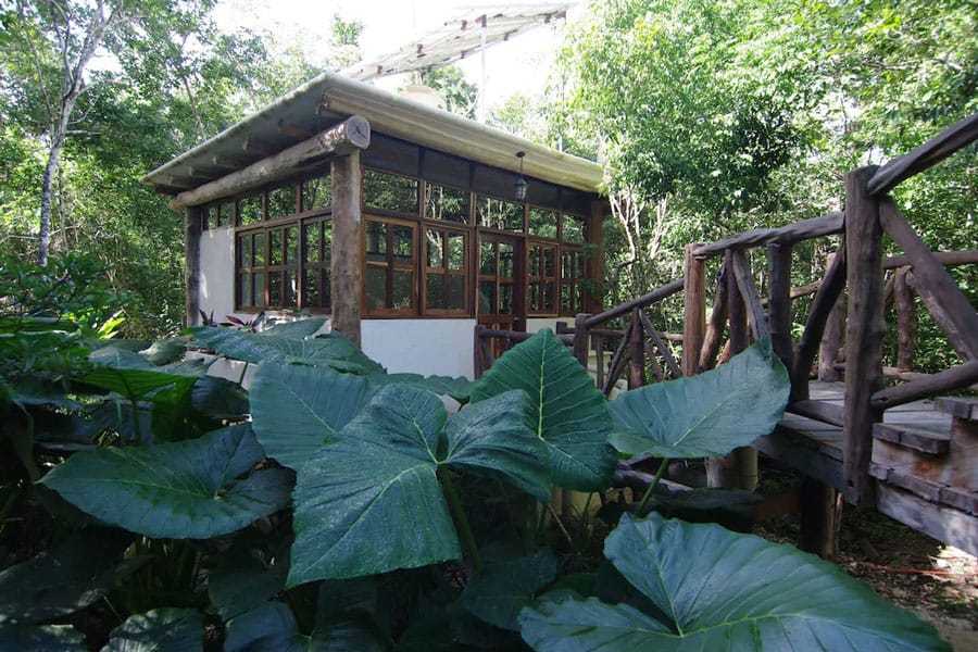 Casita Milagros - A Jungle Treehouse in Tulum