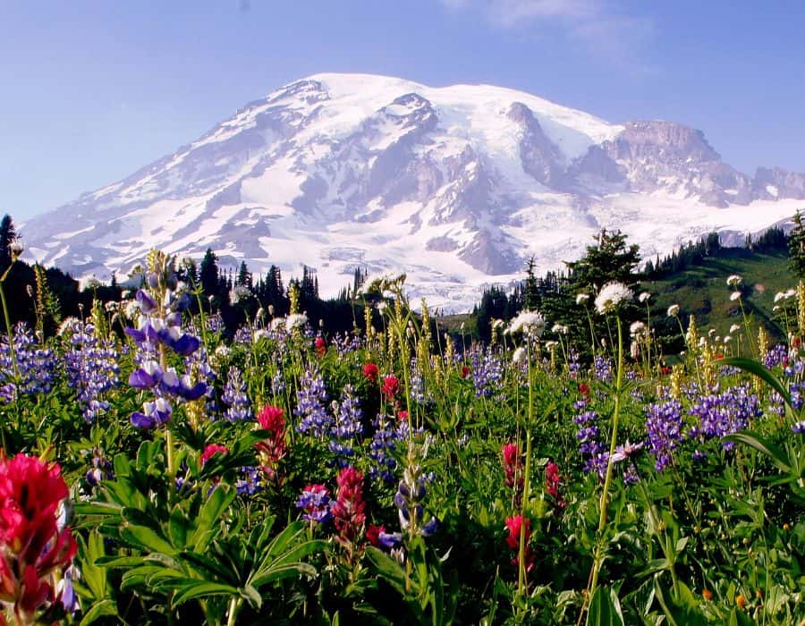 Romantic Getaways in Washington State at Mount Rainier
