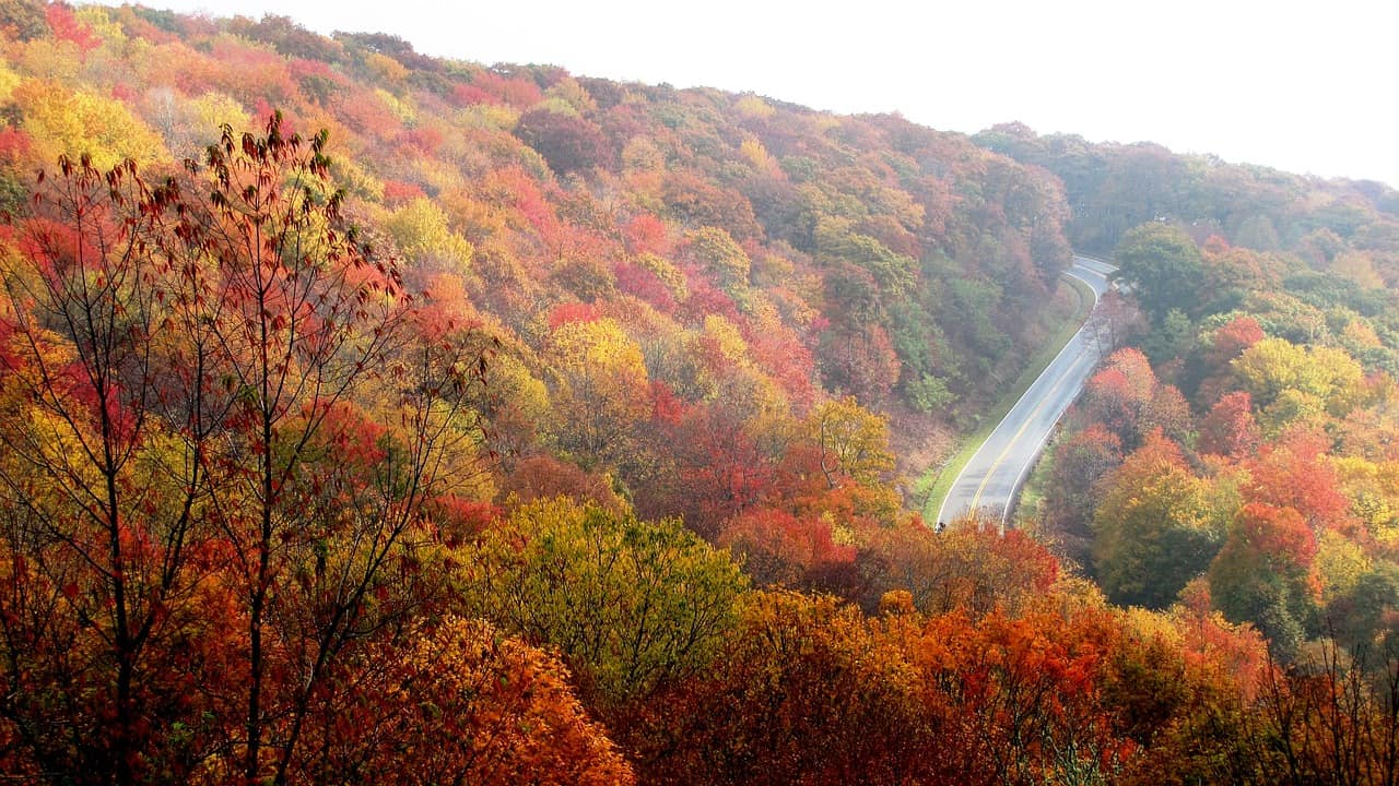 Fall colors and trees for Glamping in North Carolina