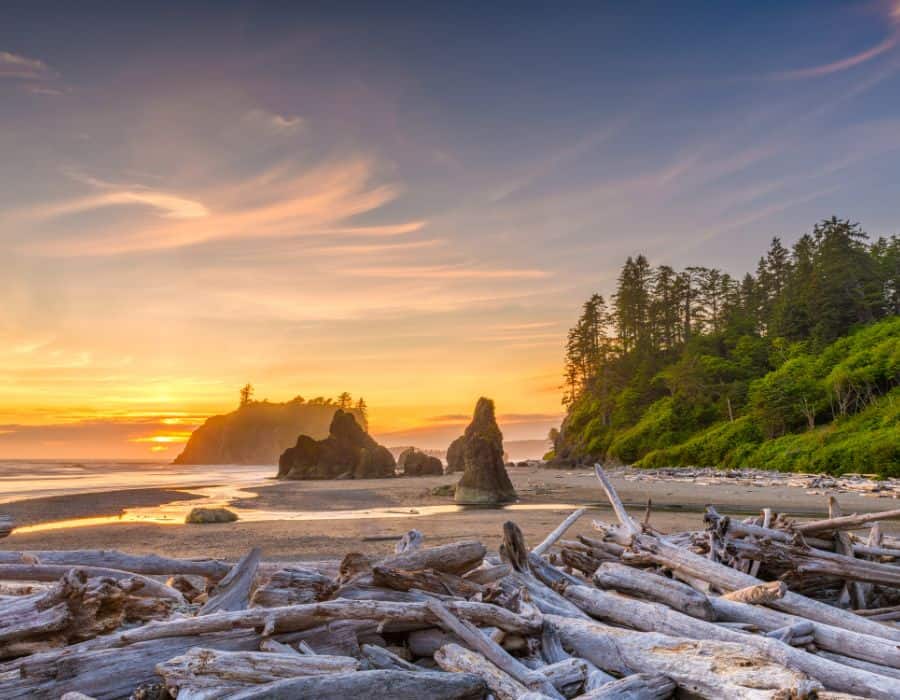 Romantic Getaways in Washington State in Olympic National Park