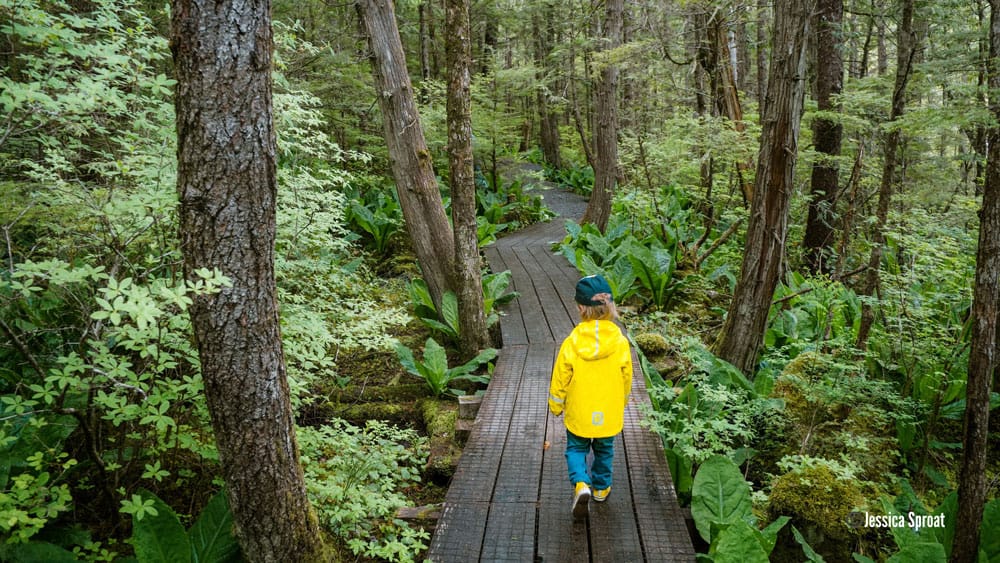 Hiking Trails near Hidden Acres Treehouse Resort in BC - Photo Credit: Jessica Sproat