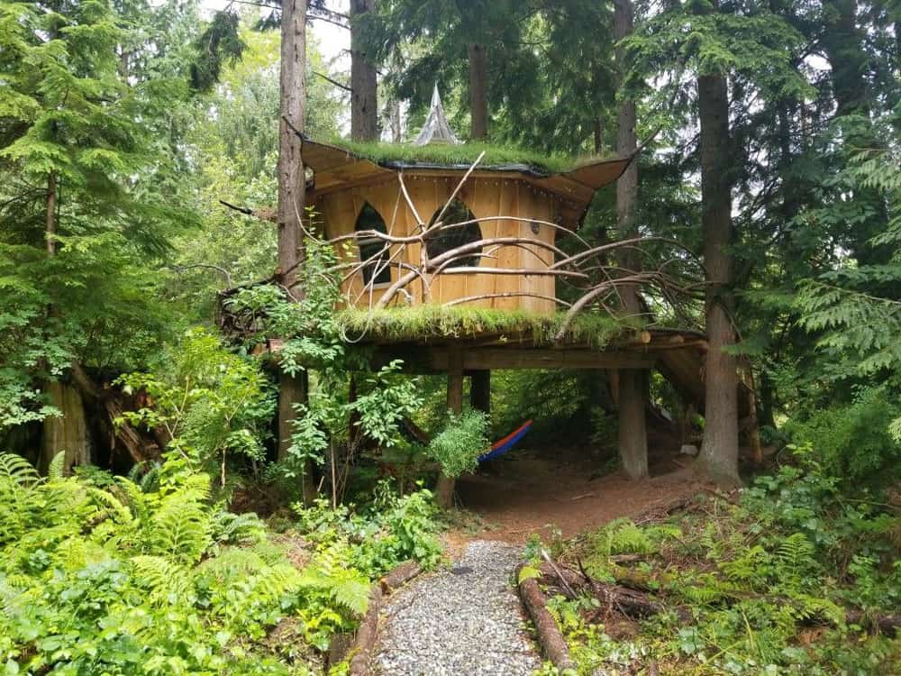 pot leaf treehouse Glamping in Washington State view of the treehouse in the middle of trees with grass on roof and deck and hammock below
