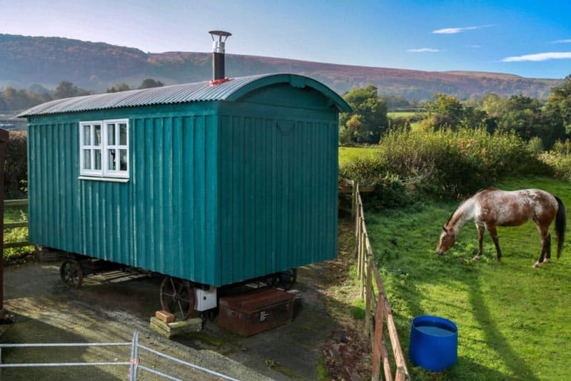 The Sage Hut Glamping in Brecon Beacons hut with horse and fields