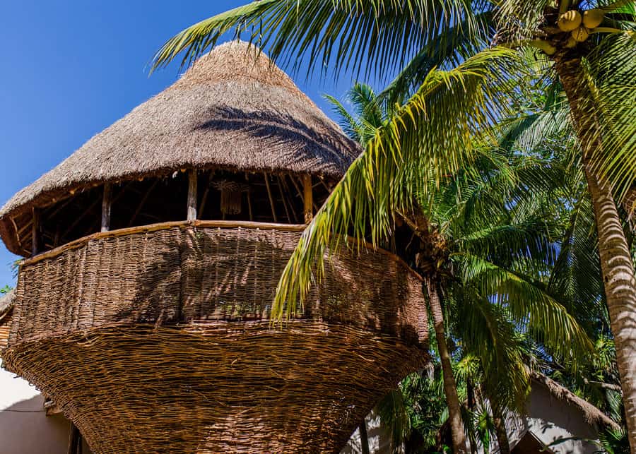 On-Site Amenities and Services at Serena Glamping Tulum Tower