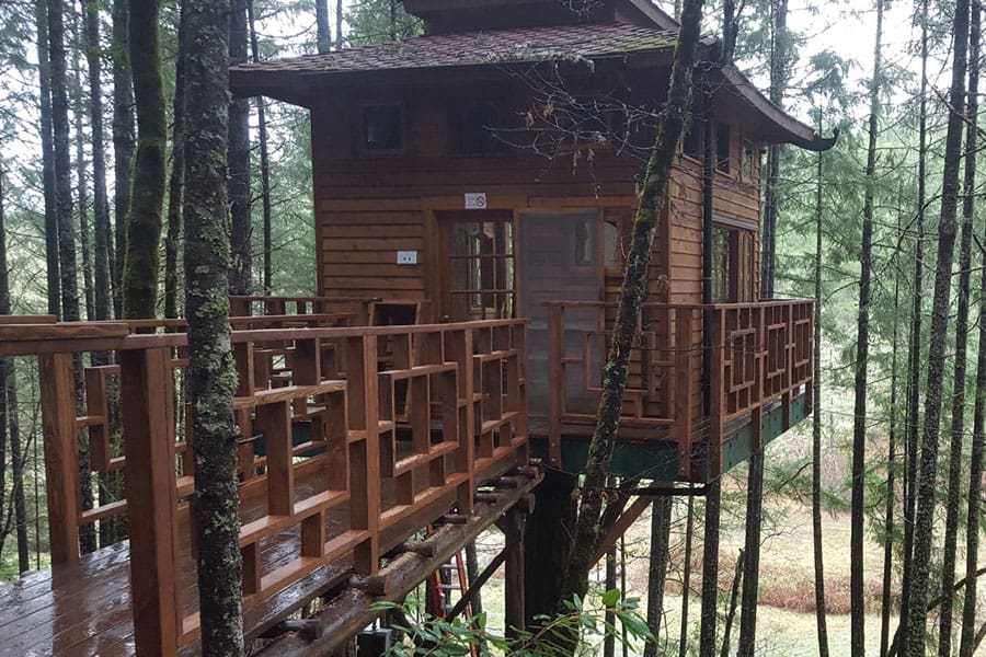 Vertical Horizons Paradise Treehouse Rentals Oregon Shiitake Treehouse