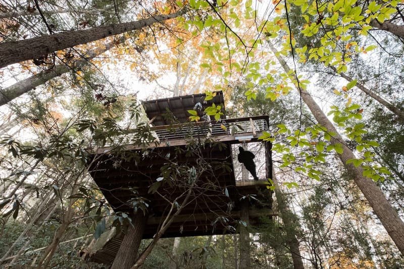 Red River Gorge Treehouses Rental Cabin Sylvan Float