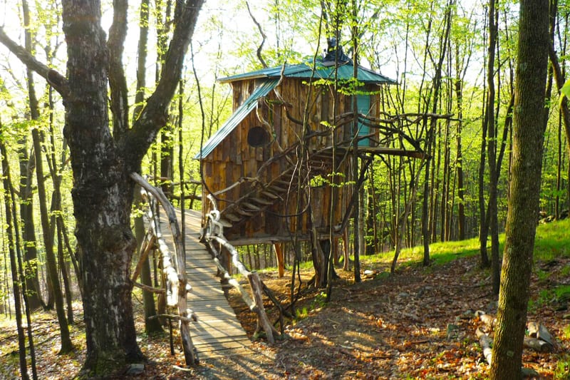 The Hermit Thrush Vermont Treehouse view of outside with wooden bridge and trees around it.