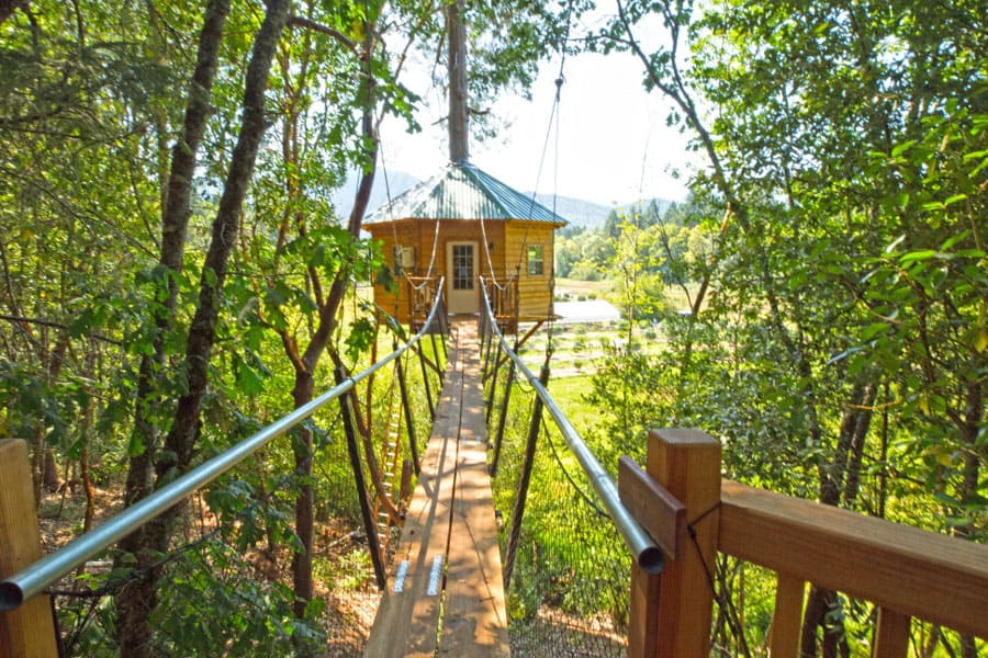 TokinTree Eco Camping Treehouse view from bridge