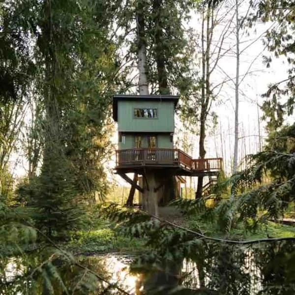 treehouse Glamping in Washington State with a panoramic view