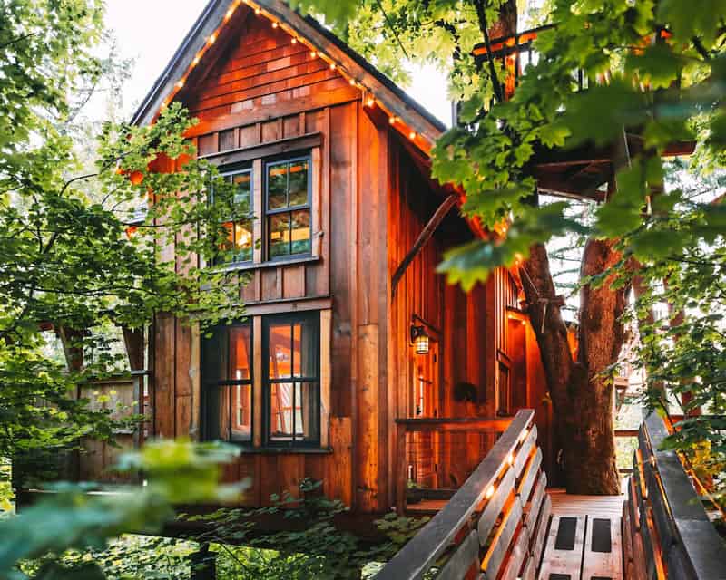 Emerald Forest Treehouse Cabin in Washington