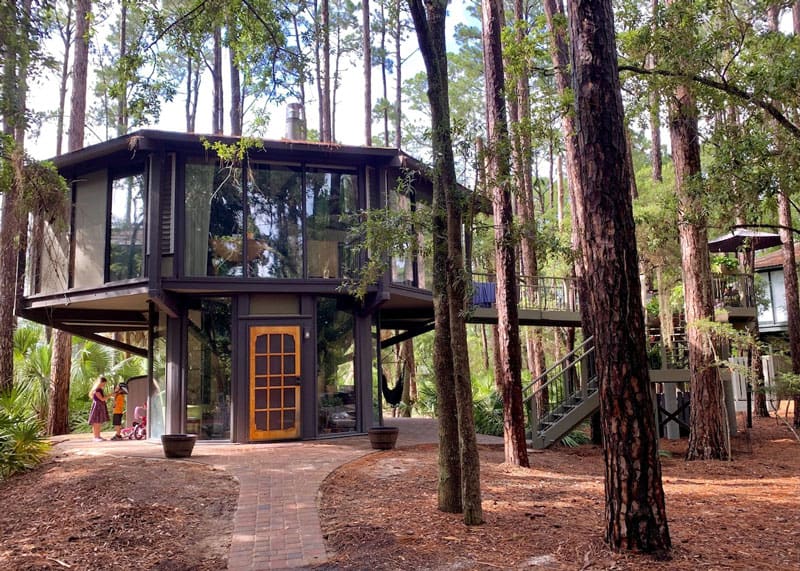 Glamping South Carolina Treehouse in Forest by the Sea
