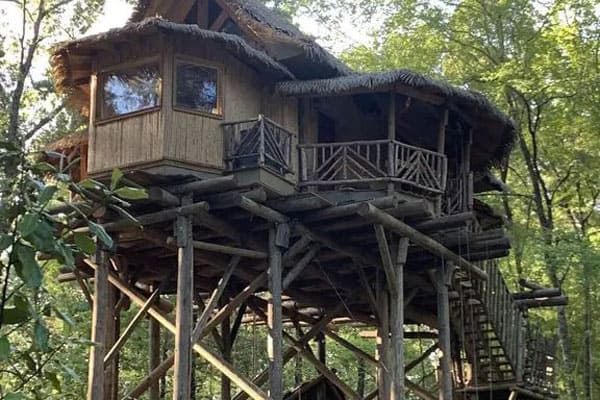 Tropical Treehouse in Arkansas