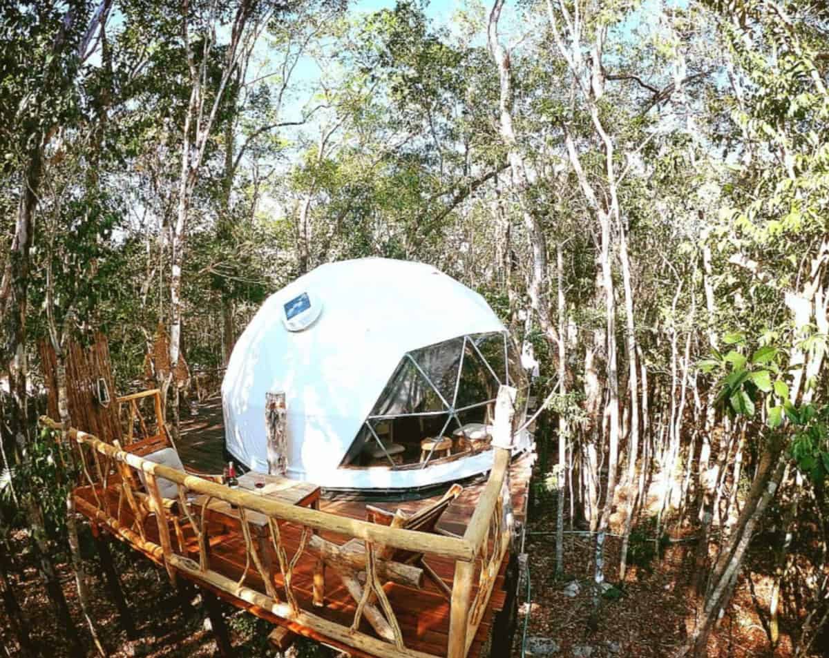 Glamping treehouse dome 