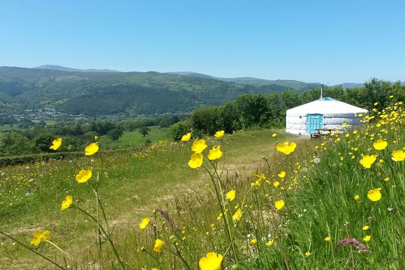 Rhiannon Yurt in North Wales with Hot Tub view of the hills and yurt with yellow flowers