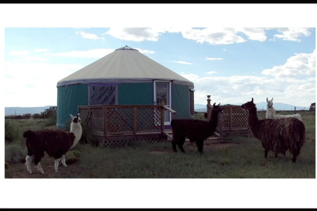 Llama Ranch New Mexico Yurt