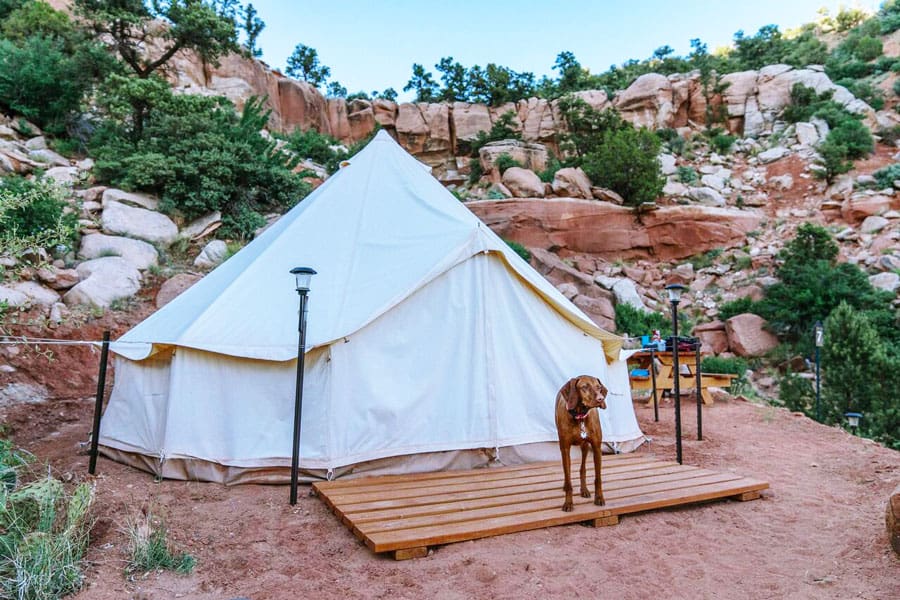 zion glamping adventures tent with view of front of tent with dog on a deck and rock cliff in the background