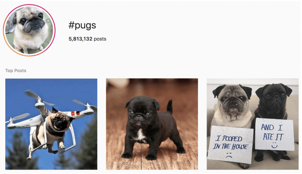 pug hashtag